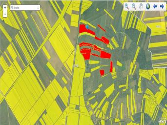 Teren extravilan Oradea - Episcopia - 16 hectare